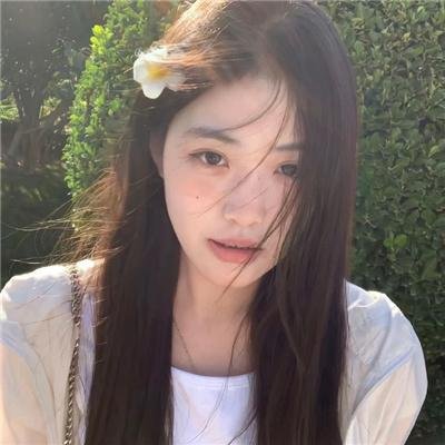 企鹅海报
